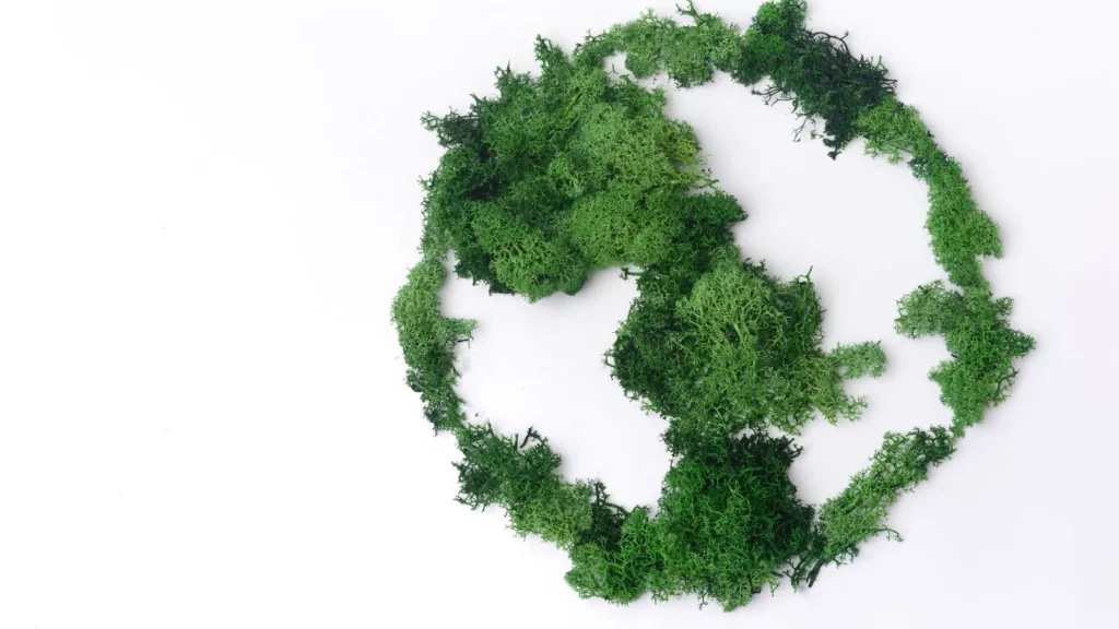 Sustainability care home design trends