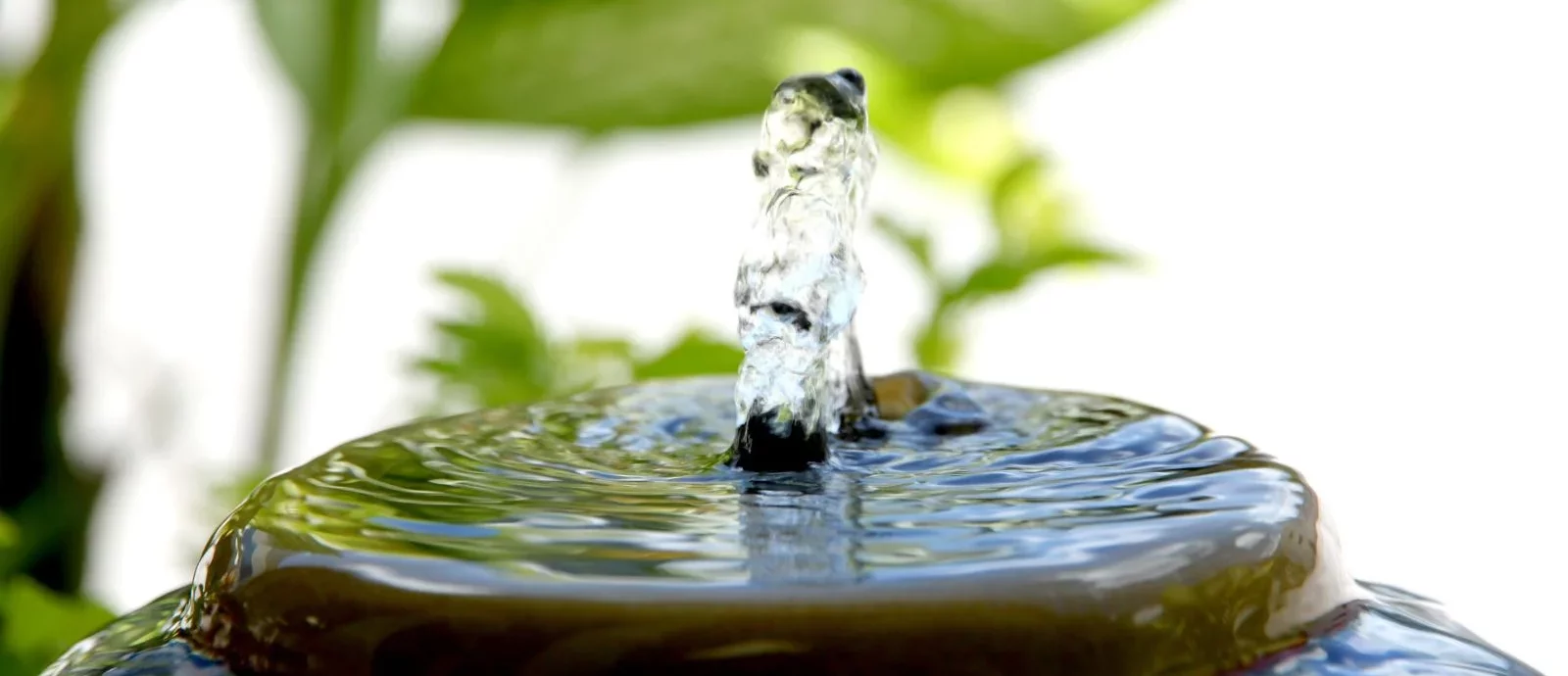 Creating a positive care home environment whilst following social distancing rules