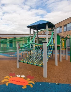 Specialist Education