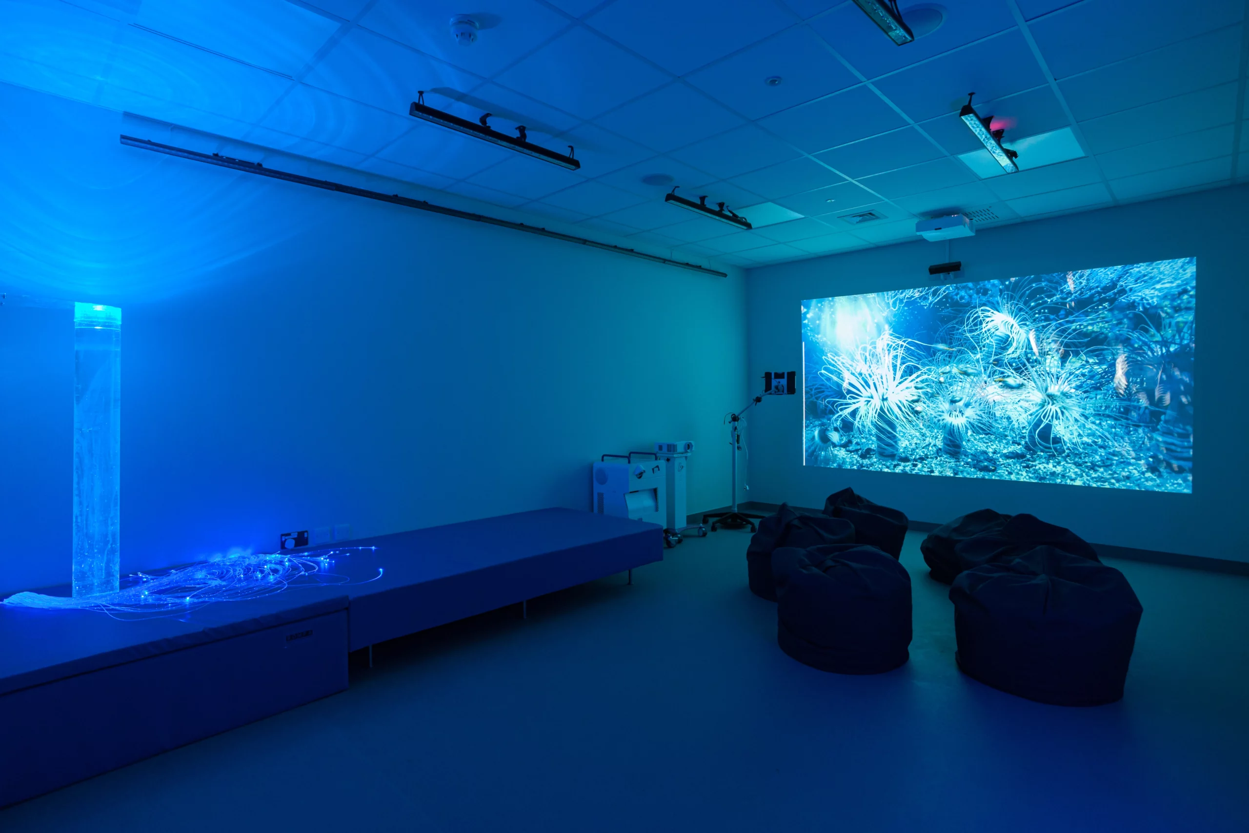 Sensory-Friendly Home Design: Creating Comfortable Spaces for Neurodiverse Individuals