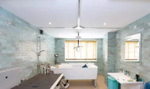 Ceiling Hoist In Bathroom