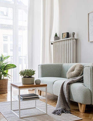 Domestic Adaptations