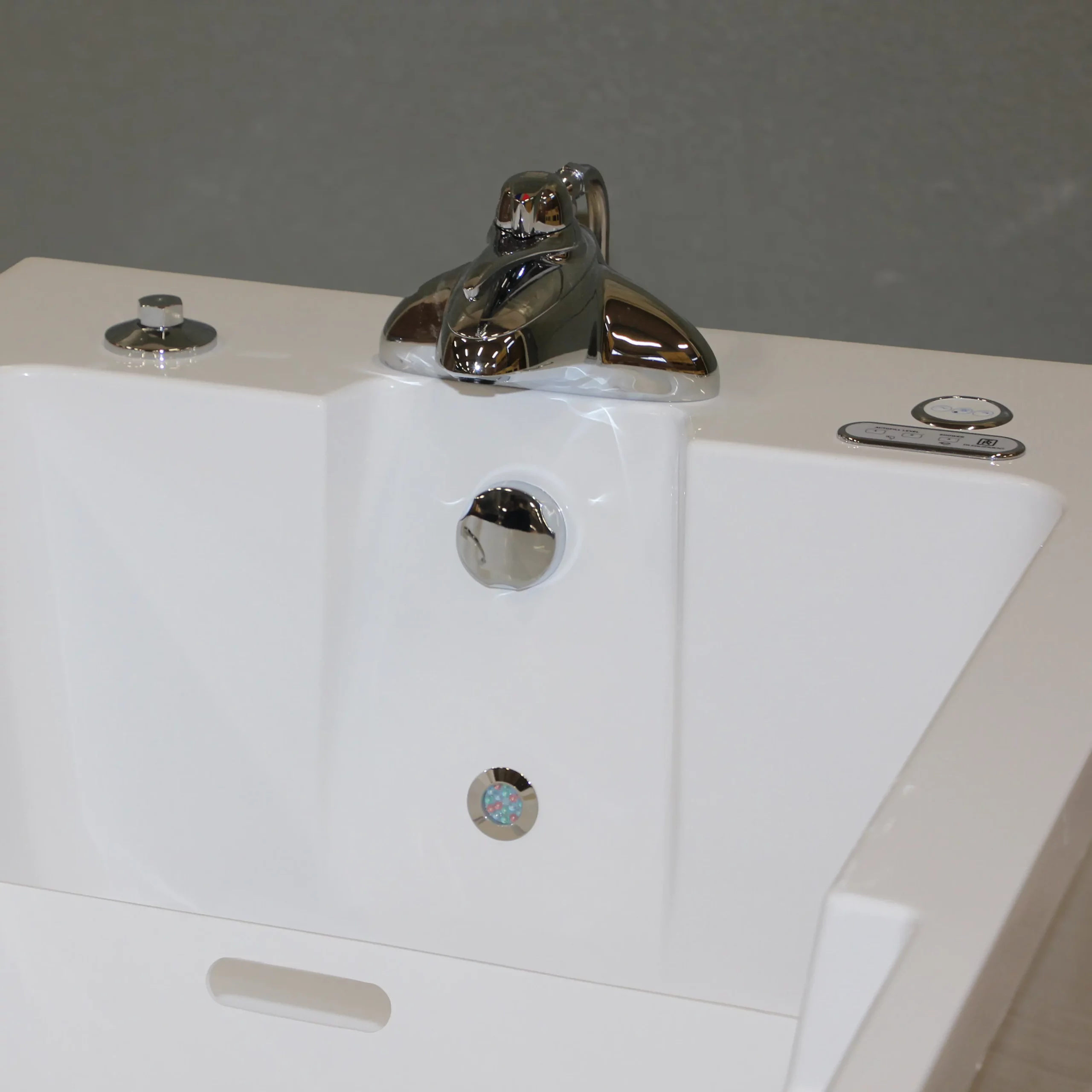 Spaceline Accessible Large Bath