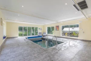 Stainless Steel Hydrotherapy Pool for Domestic Client