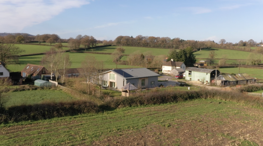 Creating a Forever Home That Supports Well-being & Mental Health